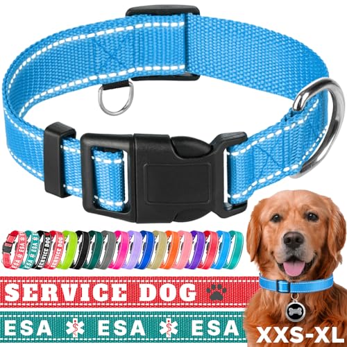 TECEUM Hundehalsband Himmelblau - Halsband für alle Rassen und Größen von Katzen und Hunden - L von TECEUM