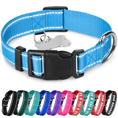 TECEUM Hundehalsband Himmelblau - Halsband für alle Rassen und Größen von Katzen und Hunden - XL von TECEUM