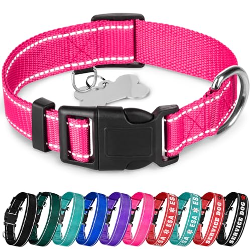 TECEUM Reflektierendes Haustierhalsband - Hot Pink - L - Basic Nylon Hundehalsband - Schnellverschluss-Schnalle - Passend für kleine, mittelgroße und große Hunde, Welpen, Katzen - ESA & Diensthund von TECEUM