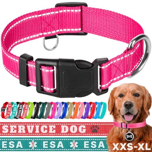 TECEUM Reflektierendes Haustierhalsband - Hot Pink - L - Basic Nylon Hundehalsband - Schnellverschluss-Schnalle - Passend für kleine, mittelgroße und große Hunde, Welpen, Katzen - ESA & Diensthund von TECEUM