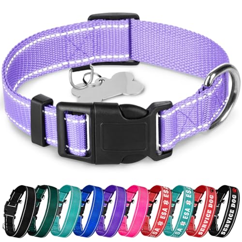 TECEUM Reflektierendes Haustierhalsband - Lavendel - L - Basic Nylon Hundehalsband - Schnellverschluss-Schnalle - Passend für kleine, mittelgroße und große Hunde, Welpen, Katzen - ESA & Diensthund von TECEUM