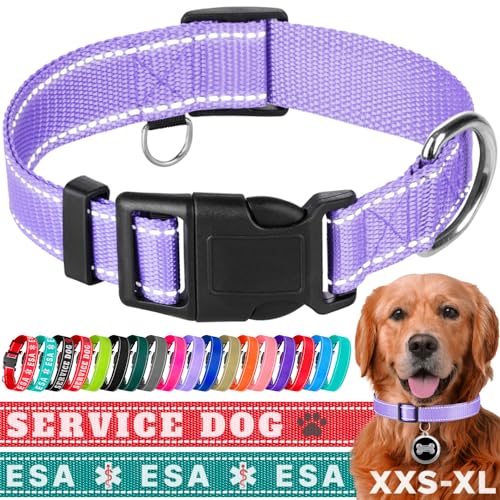 TECEUM Reflektierendes Haustierhalsband – Lavendel – M – Basic Nylon Hundehalsband – Schnellverschluss-Schnalle – passend für kleine, mittelgroße und große Hunde, Welpen, Katzen – ESA & Diensthund von TECEUM