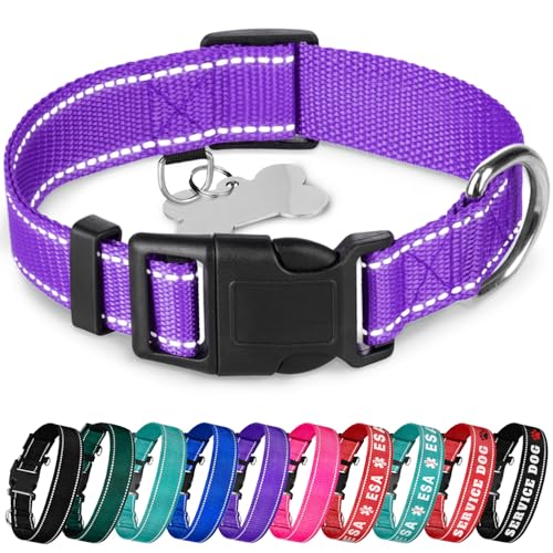 TECEUM Reflektierendes Haustierhalsband - Lila - M - Basic Nylon Hundehalsband - Schnellverschluss-Schnalle - Passend für kleine, mittelgroße und große Hunde, Welpen, Katzen - ESA & Diensthund von TECEUM