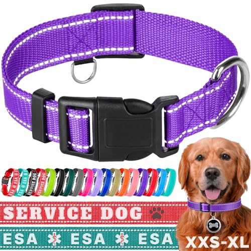 TECEUM Reflektierendes Haustierhalsband - Lila - M - Basic Nylon Hundehalsband - Schnellverschluss-Schnalle - Passend für kleine, mittelgroße und große Hunde, Welpen, Katzen - ESA & Diensthund von TECEUM