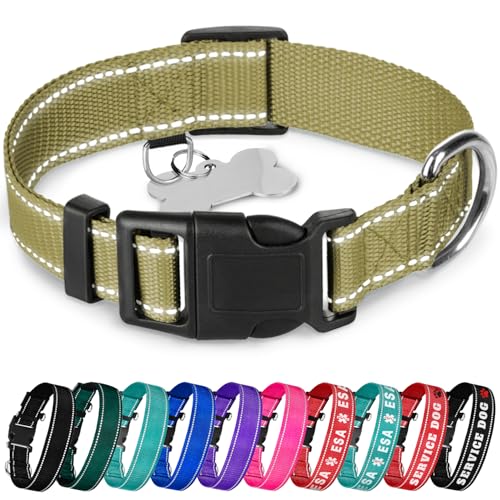 TECEUM Hundehalsband Oliv - Halsband für alle Rassen und Größen von Katzen und Hunden - L von TECEUM