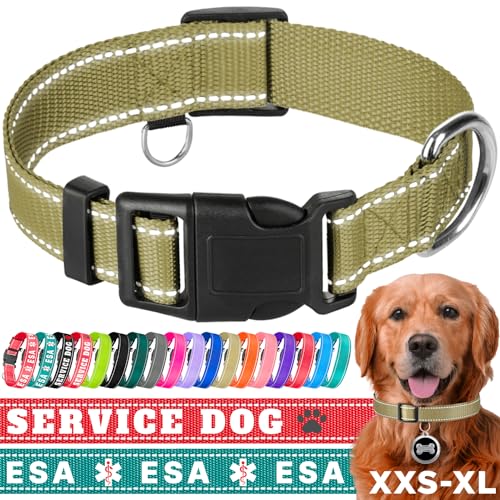 TECEUM Reflektierendes Haustierhalsband - Oliv - S - Basic Nylon Hundehalsband - Schnellverschluss-Schnalle - Passend für kleine, mittelgroße und große Hunde, Welpen, Katzen - ESA & Diensthund von TECEUM