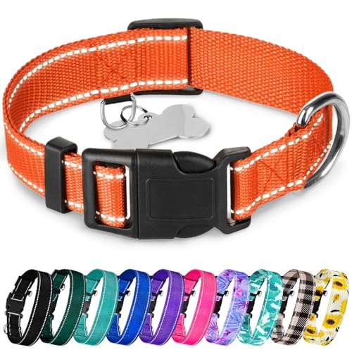 TECEUM Hundehalsband Orange - Halsband für alle Rassen und Größen von Katzen und Hunden - L von TECEUM