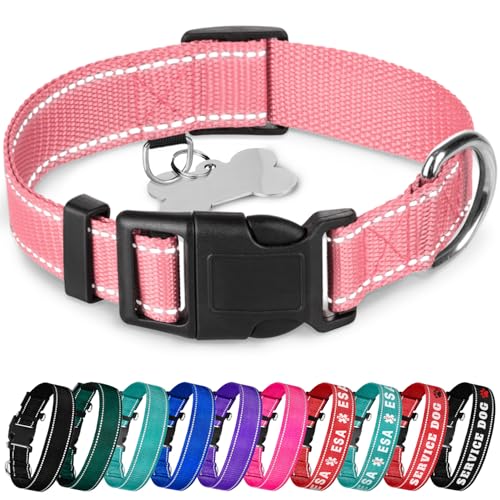 TECEUM Hundehalsband Rosa - Halsband für alle Rassen und Größen von Katzen und Hunden - L von TECEUM