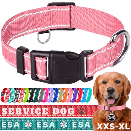 TECEUM Hundehalsband Rosa - Halsband für alle Rassen und Größen von Katzen und Hunden - XL von TECEUM