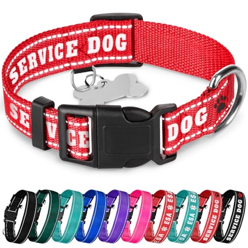 TECEUM Reflektierendes Haustierhalsband - Rot - Diensthund - M - Basic Nylon Hundehalsband - Schnellverschluss-Schnalle - Passend für kleine, mittelgroße und große Hunde, Welpen, Katzen - ESA & von TECEUM