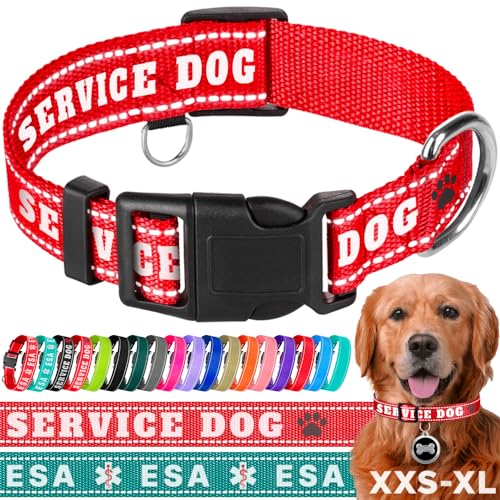 TECEUM Hundehalsband Rot - Diensthund - Halsband für alle Rassen und Größen von Katzen und Hunden - M von TECEUM