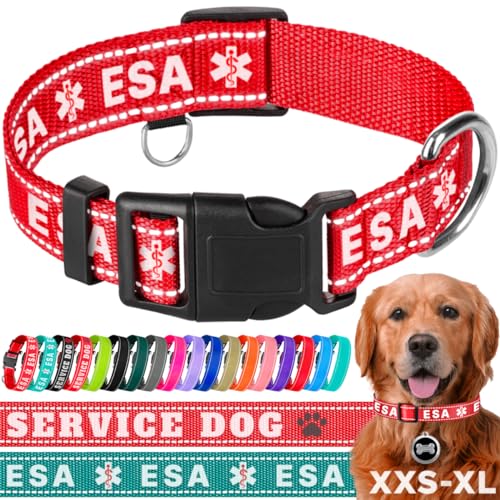 TECEUM Hundehalsband Rot - ESA - Halsband für alle Rassen und Größen von Katzen und Hunden - L von TECEUM