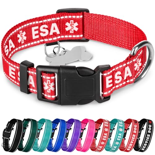 TECEUM Hundehalsband Rot - ESA - Halsband für alle Rassen und Größen von Katzen und Hunden - M von TECEUM