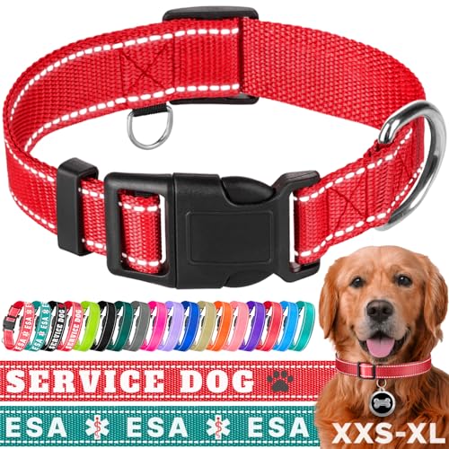 TECEUM Hundehalsband Rot - Halsband für alle Rassen und Größen von Katzen und Hunden - S von TECEUM