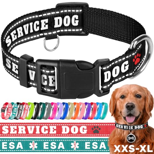 TECEUM Reflektierendes Haustierhalsband - Schwarz - Diensthund - L - Basic Nylon Hundehalsband - Schnellverschluss-Schnalle - Passend für kleine, mittelgroße und große Hunde, Welpen, Katzen - ESA & von TECEUM