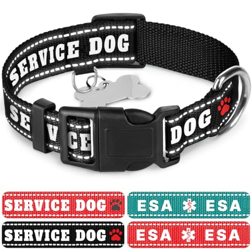 TECEUM Hundehalsband Schwarz - Diensthund - Halsband für alle Rassen und Größen von Katzen und Hunden - XS von TECEUM