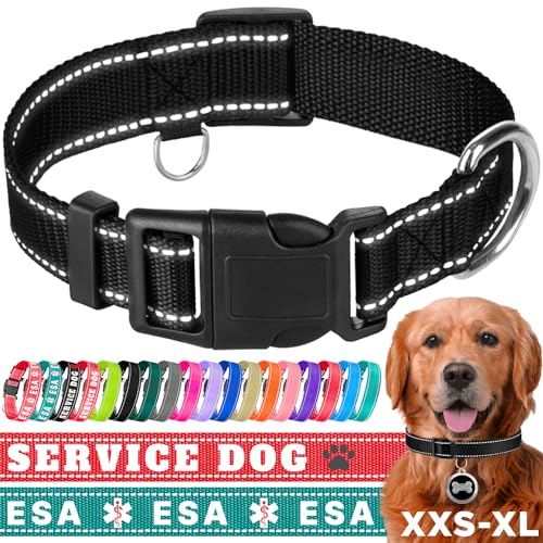 TECEUM Reflektierendes Haustierhalsband - Schwarz - M - Basic Nylon Hundehalsband - Schnellverschluss-Schnalle - Passend für kleine, mittelgroße und große Hunde, Welpen, Katzen - ESA & Diensthund von TECEUM