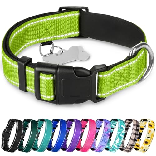 TECEUM Hundehalsband mit Polsterung - Acid Green - Halsband für alle Rassen und Größen von Katzen und Hunden - L von TECEUM