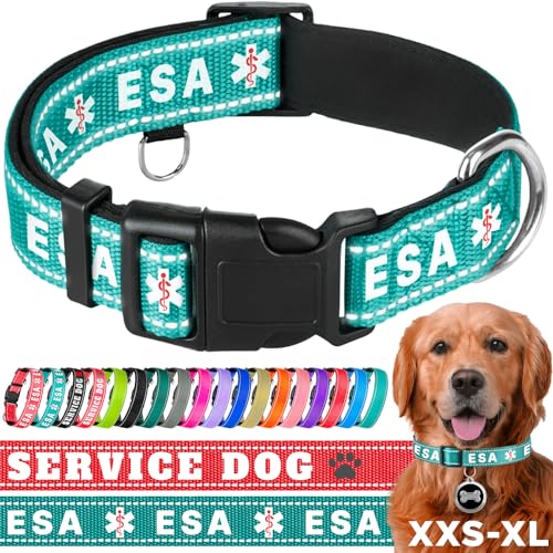 TECEUM Hundehalsband mit Polsterung - Blaugrün - ESA - Halsband für alle Rassen und Größen von Katzen und Hunden - L von TECEUM