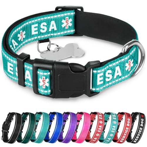 TECEUM Reflektierendes Haustierhalsband – Blaugrün – ESA – M – extra weiche Polsterung – Basic Nylon Hundehalsband – Schnellverschluss-Schnalle – passend für kleine, mittelgroße und große Hunde, von TECEUM