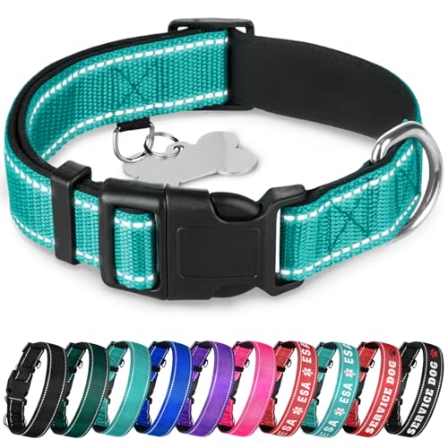 TECEUM Reflektierendes Haustierhalsband – Blaugrün – M – extra weiche Polsterung – Basic Nylon Hundehalsband – Schnellverschluss-Schnalle – passend für kleine, mittelgroße und große Hunde, Welpen, von TECEUM