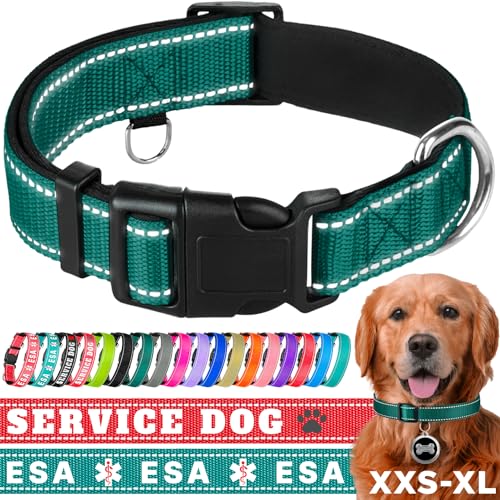 TECEUM Hundehalsband mit Polsterung - Dunkles Smaragdgrün - Halsband für alle Rassen und Größen von Katzen und Hunden - L von TECEUM
