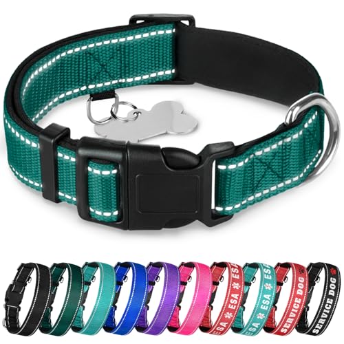 TECEUM Reflektierendes Haustierhalsband – Dunkles Smaragdgrün – M – Extra weiche Polsterung – Hundehalsband aus Nylon – Schnellverschluss-Schnalle – passend für kleine, mittelgroße und große Hunde, von TECEUM