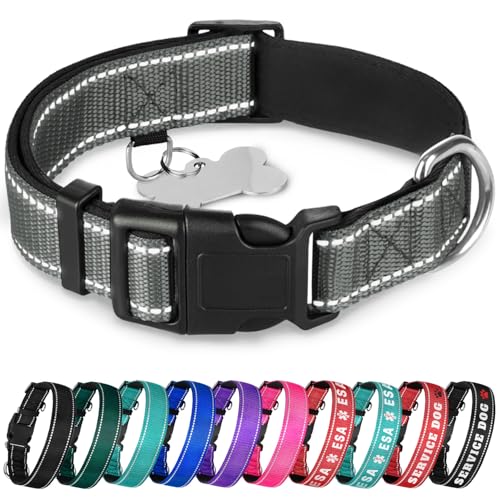 TECEUM Reflektierendes Haustierhalsband – Grau – L – extra weiche Polsterung – Basic Nylon Hundehalsband – Schnellverschluss-Schnalle – passend für kleine, mittelgroße und große Hunde, Welpen, Katzen von TECEUM