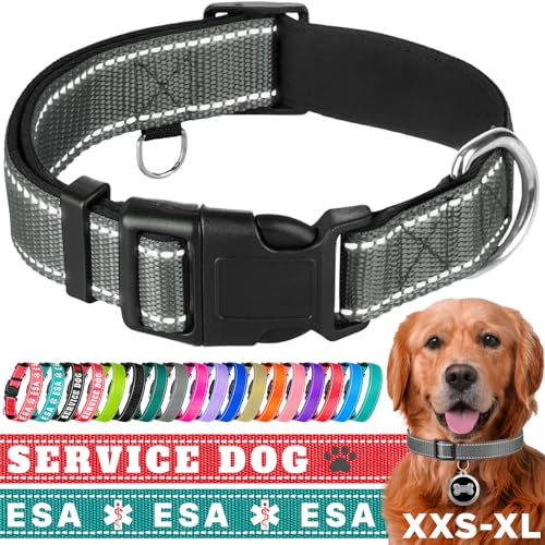 TECEUM Reflektierendes Haustierhalsband – Grau – L – extra weiche Polsterung – Basic Nylon Hundehalsband – Schnellverschluss-Schnalle – passend für kleine, mittelgroße und große Hunde, Welpen, Katzen von TECEUM