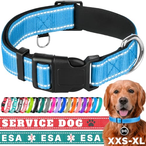 TECEUM Hundehalsband mit Polsterung - Himmelblau - Halsband für alle Rassen und Größen von Katzen und Hunden - L von TECEUM