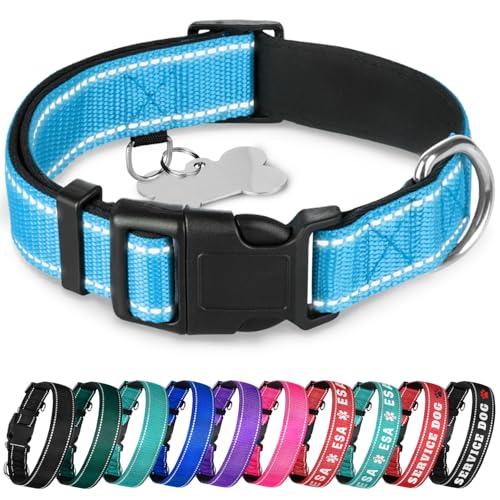 TECEUM Hundehalsband mit Polsterung - Himmelblau - Halsband für alle Rassen und Größen von Katzen und Hunden - M von TECEUM