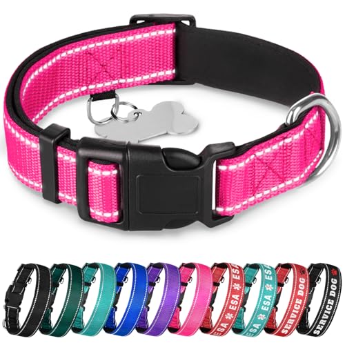 TECEUM Hundehalsband mit Polsterung - Hot Pink - Halsband für alle Rassen und Größen von Katzen und Hunden - M von TECEUM