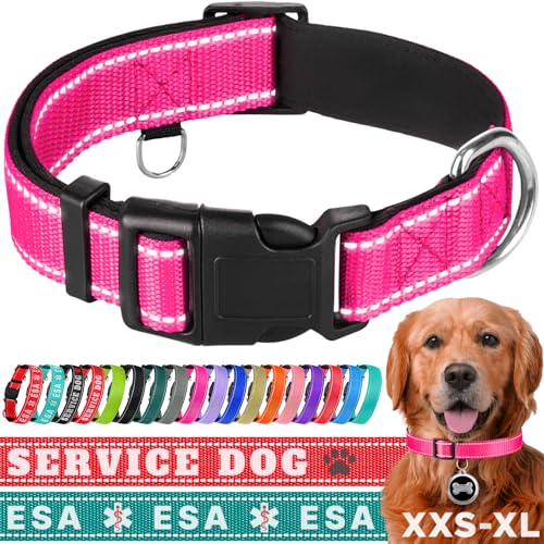 TECEUM Hundehalsband mit Polsterung - Hot Pink - Halsband für alle Rassen und Größen von Katzen und Hunden - XL von TECEUM