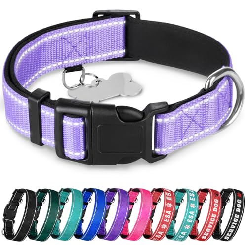 TECEUM Reflektierendes Haustierhalsband - Lavendel - S - Extra weiche Polsterung - Basic Nylon Hundehalsband - Schnellverschluss-Schnalle - Passend für kleine, mittelgroße und große Hunde, Welpen, von TECEUM