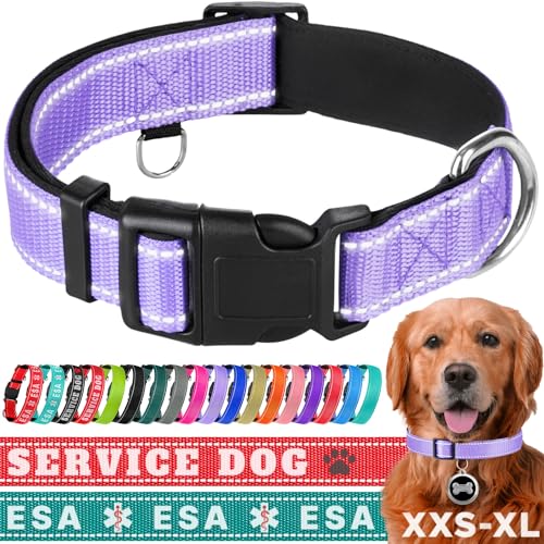 TECEUM Reflektierendes Haustierhalsband - Lavendel - S - Extra weiche Polsterung - Basic Nylon Hundehalsband - Schnellverschluss-Schnalle - Passend für kleine, mittelgroße und große Hunde, Welpen, von TECEUM