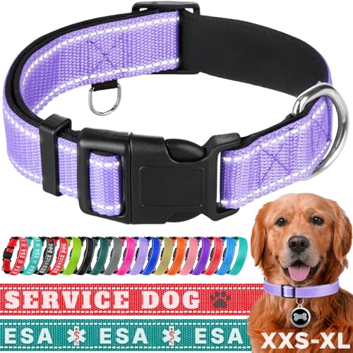 TECEUM Hundehalsband mit Polsterung - Lavendel - Halsband für alle Rassen und Größen von Katzen und Hunden - XL von TECEUM
