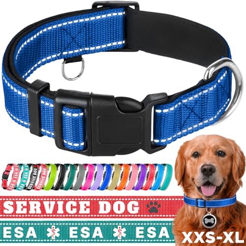 TECEUM Reflektierendes Haustierhalsband - Marineblau - XXS - Extra Weiche Polsterung - Basic Nylon Hundehalsband - Schnellverschluss-Schnalle - Passend für kleine, mittelgroße und große Hunde, Welpen, von TECEUM