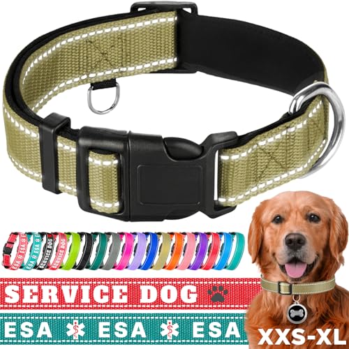 TECEUM Reflektierendes Haustierhalsband - Oliv - L - Extra weiche Polsterung - Basic Nylon Hundehalsband - Schnellverschluss-Schnalle - Passend für kleine, mittelgroße und große Hunde, Welpen, Katzen von TECEUM