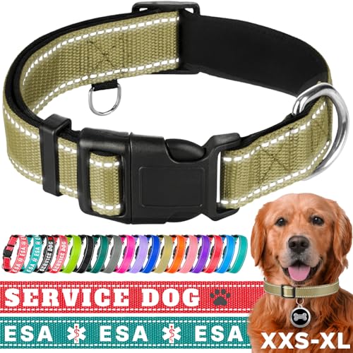 TECEUM Hundehalsband mit Polsterung - Oliv - Halsband für alle Rassen und Größen von Katzen und Hunden - XL von TECEUM