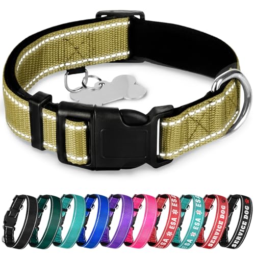 TECEUM Hundehalsband mit Polsterung - Oliv - Halsband für alle Rassen und Größen von Katzen und Hunden - XXS von TECEUM