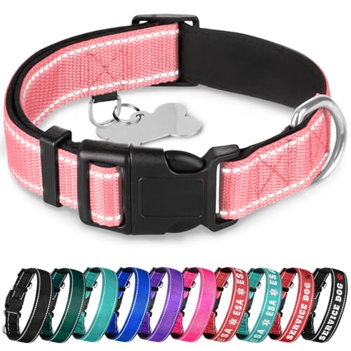 TECEUM Hundehalsband mit Polsterung - Rosa - Halsband für alle Rassen und Größen von Katzen und Hunden - L von TECEUM