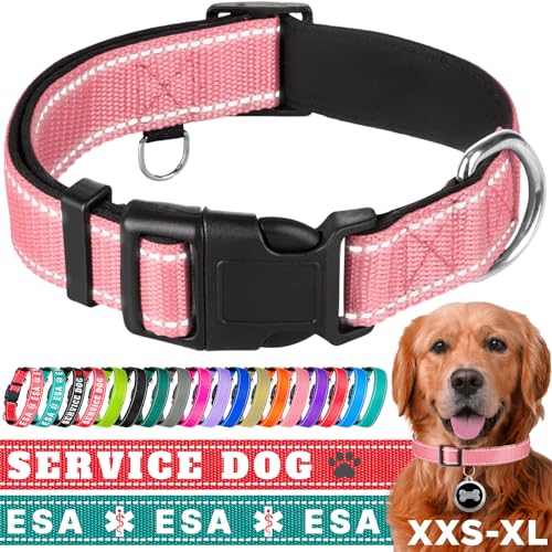 TECEUM Reflektierendes Haustierhalsband - Rosa - L - Extra Weiche Polsterung - Basic Nylon Hundehalsband - Schnellverschluss-Schnalle - Passend für kleine, mittelgroße und große Hunde, Welpen, Katzen von TECEUM