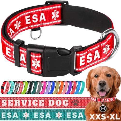 TECEUM Hundehalsband mit Polsterung - Rot - ESA - Halsband für alle Rassen und Größen von Katzen und Hunden - L von TECEUM