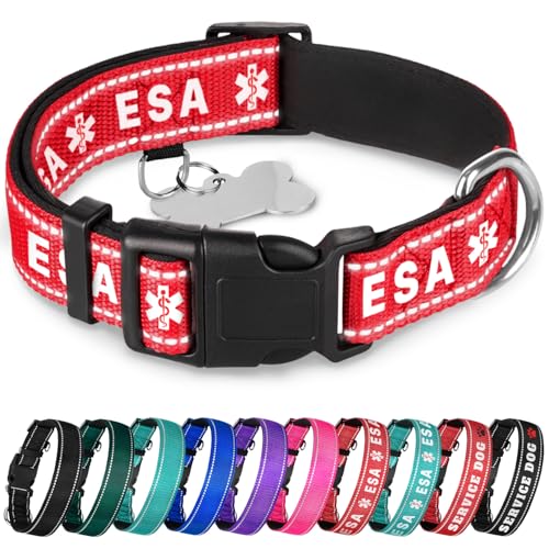 TECEUM Reflektierendes Haustierhalsband - Rot - ESA - XL - Extra Weiche Polsterung - Basic Nylon Hundehalsband - Schnellverschluss-Schnalle - Passend für kleine, mittelgroße und große Hunde, Welpen, von TECEUM