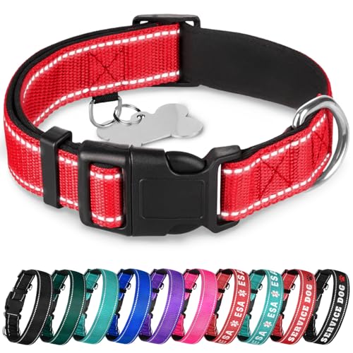 TECEUM Reflektierendes Haustierhalsband - Rot - S - Extra Weiche Polsterung - Basic Nylon Hundehalsband - Schnellverschluss-Schnalle - Passend für kleine, mittelgroße und große Hunde, Welpen, Katzen - von TECEUM