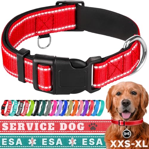 TECEUM Hundehalsband mit Polsterung - Rot - Halsband für alle Rassen und Größen von Katzen und Hunden - S von TECEUM