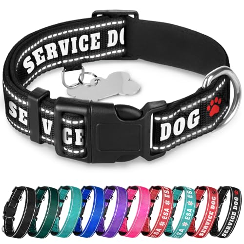 TECEUM Reflektierendes Haustierhalsband - Schwarz - Diensthund - L - Extra Weiche Polsterung - Basic Nylon Hundehalsband - Schnellverschluss-Schnalle - Passend für kleine, mittelgroße und große Hunde, von TECEUM