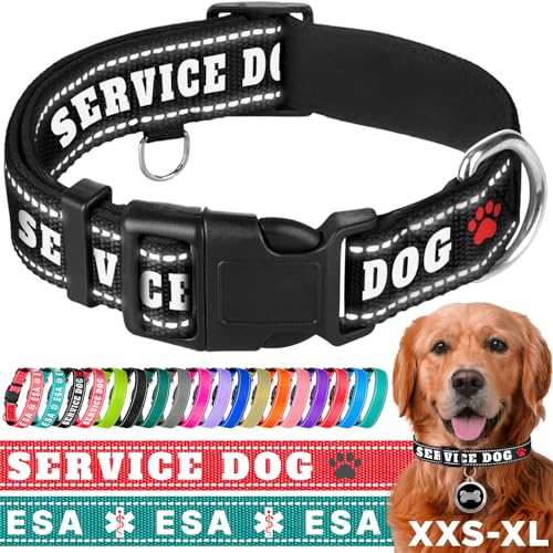 TECEUM Reflektierendes Haustierhalsband - Schwarz - Diensthund - L - Extra Weiche Polsterung - Basic Nylon Hundehalsband - Schnellverschluss-Schnalle - Passend für kleine, mittelgroße und große Hunde, von TECEUM