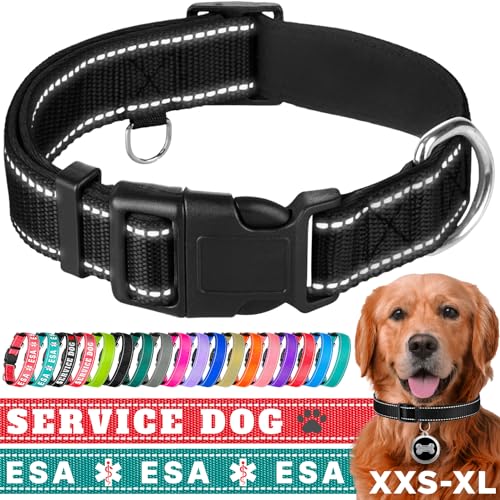 TECEUM Hundehalsband mit Polsterung - Schwarz - Halsband für alle Rassen und Größen von Katzen und Hunden - L von TECEUM