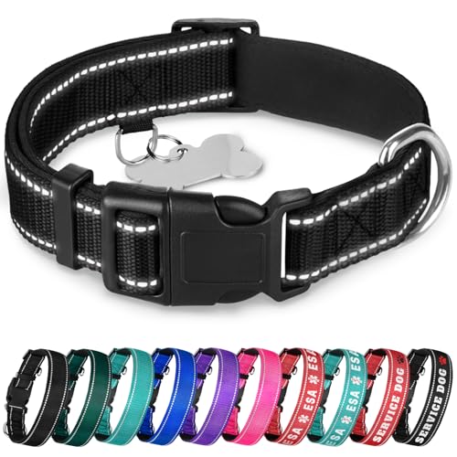 TECEUM Hundehalsband mit Polsterung - Schwarz - Halsband für alle Rassen und Größen von Katzen und Hunden - L von TECEUM